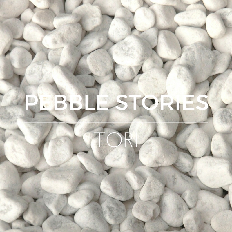 PEBBLE STORIES T